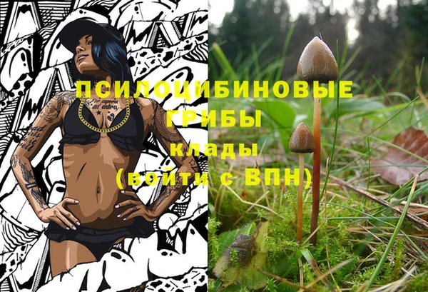 2c-b Магадан