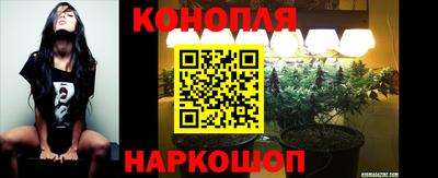 каннабис Баксан