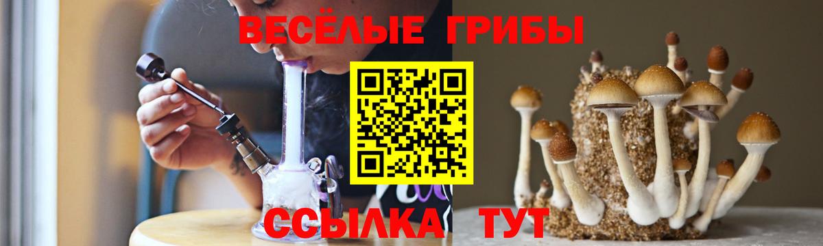 Галлюциногенные грибы MAGIC MUSHROOMS  Вход с VPN  Галлюциногенные грибы Magic Shrooms  Великий Новгород 