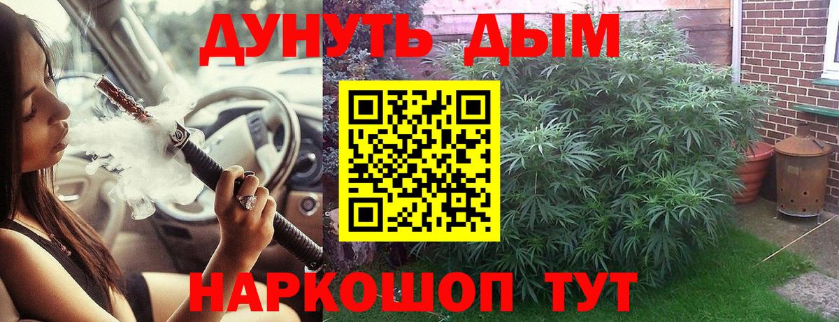 Шишки марихуана VHQ Великий Новгород